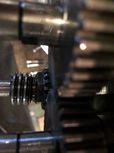 pinion.jpg
