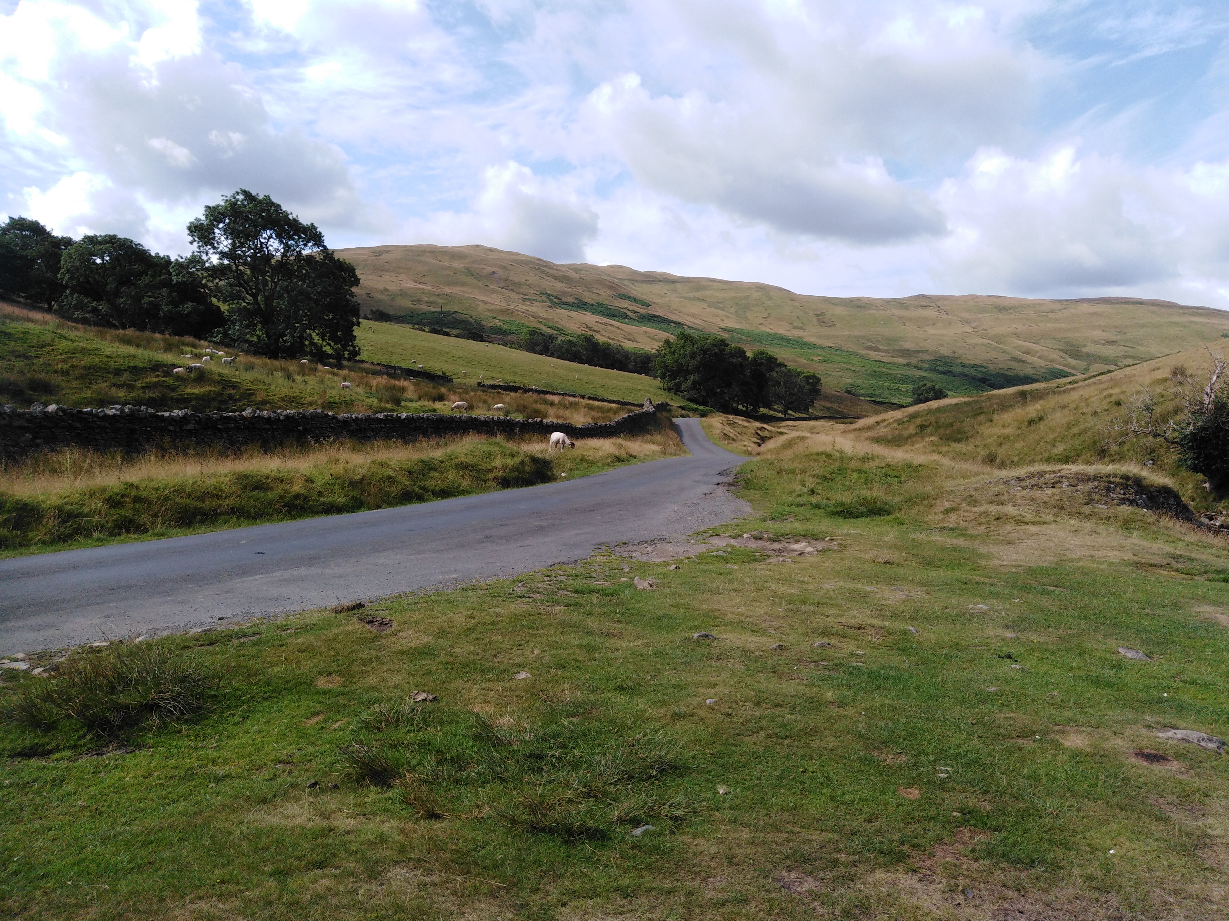 IMG_20210802_102102-1.jpg
