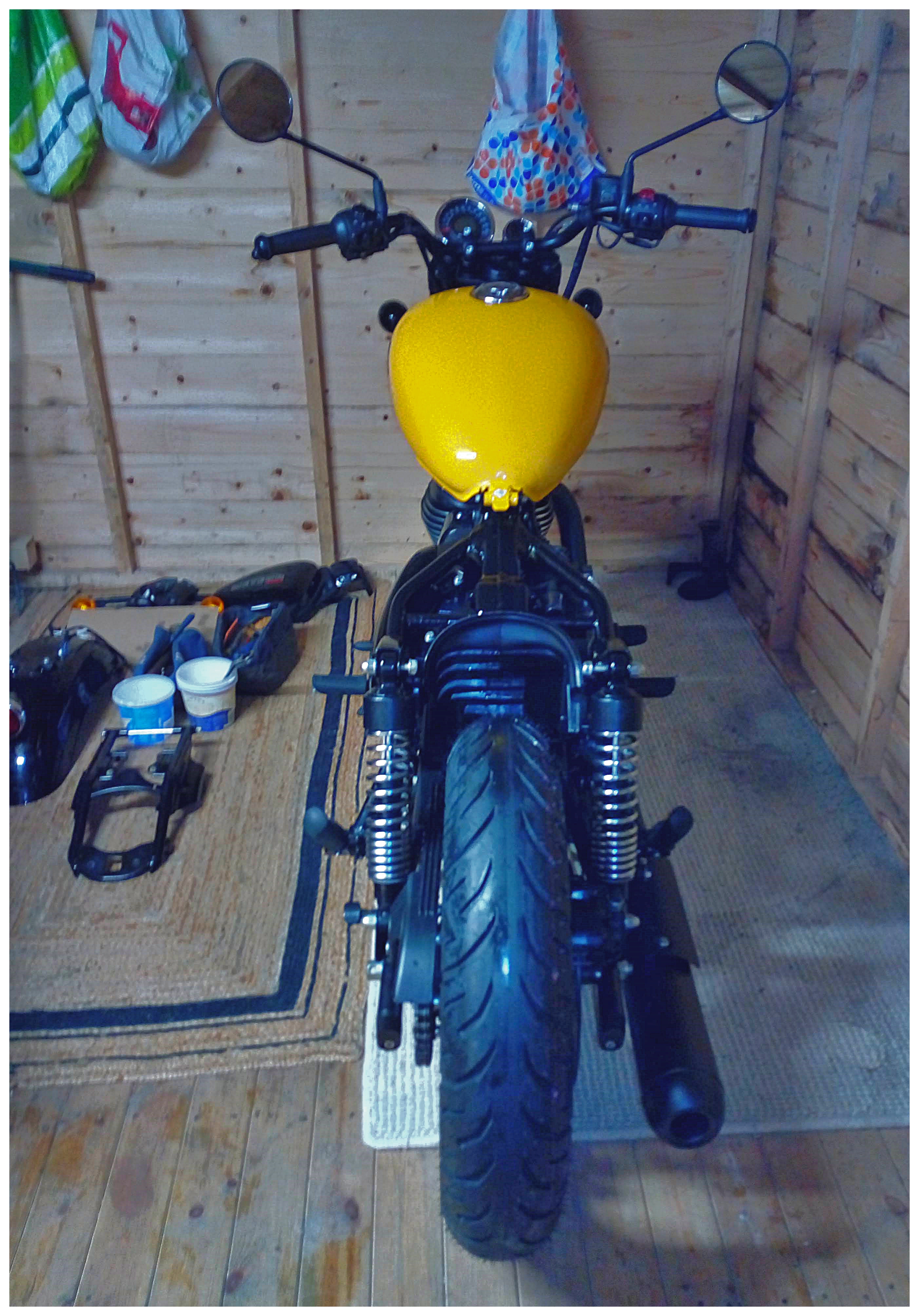 Polly in shed..jpg