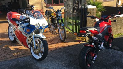 8A280DBF-E973-437C-8790-42CF555B3A60.jpeg