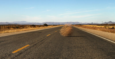 tumbleweed.jpeg