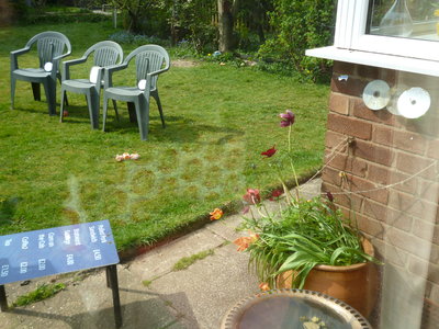 5 RE Mirrors and CDs as Sun reflectors New Table top from outside Cafe.JPG