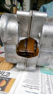 IMAG0625.jpg